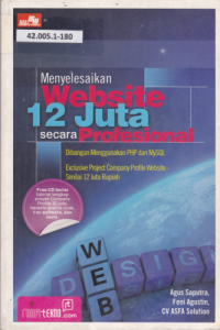 Menyelesaikan Website 12 Juta Secara Profesional
